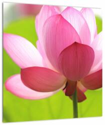 Mivali Tablou cu flori de lotus, dintr-o bucată 40x40 cm (V021697V4040)