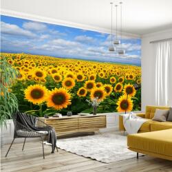 Mivali Fototapet - Câmp cu floarea soarelui, vlies, 441x306 cm (T100099TQ9)