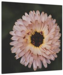 Mivali Tablou pe sticlă cu floare portocalie, dintr-o bucată 40x40 cm pe sticlă (V020428V4040GD)