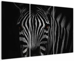 Mivali Tablou cu zebră, din trei bucăți 120x80 cm (V021389V120803PCS)