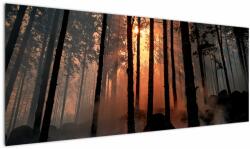 Mivali Tablou cu pădure întunecată, dintr-o bucată 145x58 cm (V020379V14558)