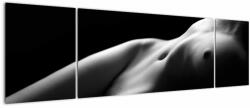 Mivali Tablou - Nud feminin, alb - negru, din trei bucăți 170x50 cm (V023378V17050)