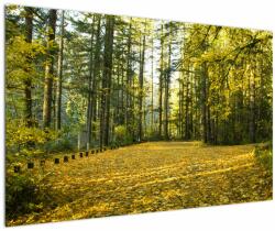 Mivali Tablou - pădurea toamna, dintr-o bucată 120x80 cm (V020218V12080)