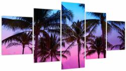 Mivali Tablou - Palmieri din Miami (cu ceas), din cinci bucăți 150x80 cm cu ceas (V022477V15080C)