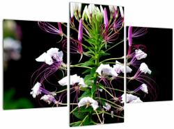 Mivali Tablou cu floare, din trei bucăți 90x60 cm (V021256V90603PCS)