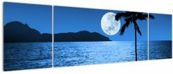 Mivali Tablou - Luna deasupra nivelului mării, din trei bucăți 170x50 cm (V021923V17050)