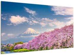 Mivali Tablou - Peisaj de primăvară japonez, dintr-o bucată 120x70 cm (V022377V12070)