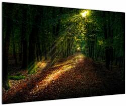 Mivali Tablou cu poteca prin pădure, dintr-o bucată 90x60 cm (V020253V9060)