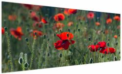 Mivali Tablou - Lunca cu maci, dintr-o bucată 250x125 cm (V022439V250125)