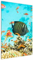 Mivali Tablou lumii submarine, dintr-o bucată 60x90 cm (V022109V6090)
