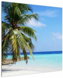 Mivali Tablou cu palmier pe plajă, dintr-o bucată 70x70 cm (V020612V7070)