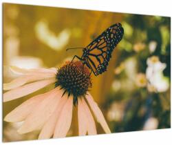 Mivali Tablou cu fluture pe floare, dintr-o bucată 90x60 cm (V021201V9060)