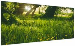 Mivali Tablou cu natura - lunca, dintr-o bucată 200x100 cm (V020157V200100)