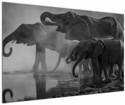 Mivali Tablou cu elefanți - albnegru, dintr-o bucată 120x80 cm (V021575V12080)