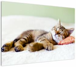 Mivali Tablou - Pisicuța adormită, dintr-o bucată 100x70 cm (V023293V10070)