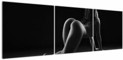 Mivali Tablou - Nud feminin, din trei bucăți 150x50 cm (V023081V15050)