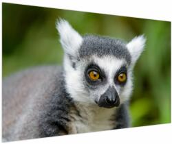 Mivali Tablou cu lemur, dintr-o bucată 150x100 cm (V021130V150100)