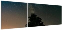 Mivali Tablou cu cerul nocturn și copaci, din trei bucăți 150x50 cm (V020879V15050)