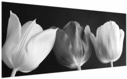 Mivali Tablou - Lalele alb negre, dintr-o bucată 200x100 cm (V021916V200100)