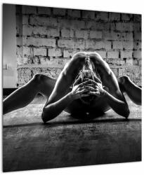 Mivali Tablou - Nud artistic al unei femei, dintr-o bucată 50x50 cm (V023495V5050)