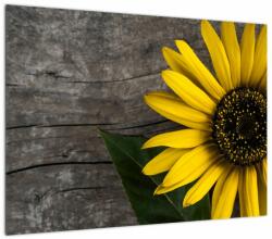 Mivali Tablou pe sticlă - Floare de floarea soarelui, dintr-o bucată 70x50 cm pe sticlă (V022113V7050GD)