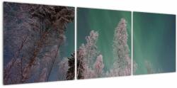 Mivali Tablou cu aurora borealis deasupra pomilor înghețați, din trei bucăți 120x40 cm (V021684V12040)