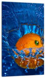 Mivali Tablou - portacala în apă, dintr-o bucată 20x30 cm (V020369V2030)