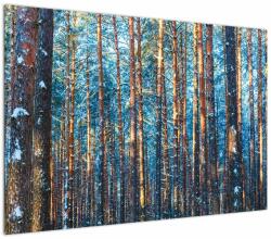 Mivali Tablou - Pădurea iarna, dintr-o bucată 100x70 cm (V023464V10070)