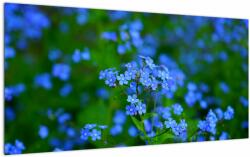 Mivali Tablou pe sticlă cu flori albastre, dintr-o bucată 100x50 cm pe sticlă (V020377V10050GD)