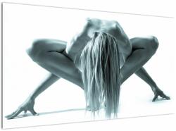 Mivali Tablou - Nud, dintr-o bucată 120x70 cm (V023502V12070)