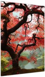 Mivali Tablou - Arțarul japonez roșu, Portland, Oregon, dintr-o bucată 50x70 cm (V023677V5070)
