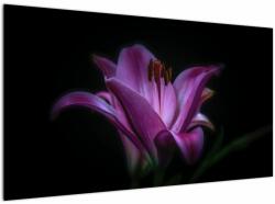Mivali Tablou crinul, dintr-o bucată 120x70 cm (V021729V12070)