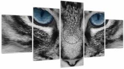 Mivali Tablou cu pisica (cu ceas), din cinci bucăți 150x80 cm cu ceas (V021221V15080C)