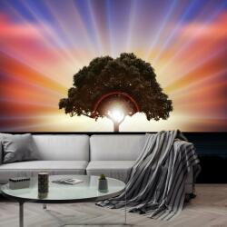 Mivali Fototapet - Copac în razele solare, vlies, 294x204 cm (T100264TQ6)