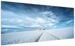 Mivali Tablou - Câmp, dintr-o bucată 200x100 cm (V023341V200100)