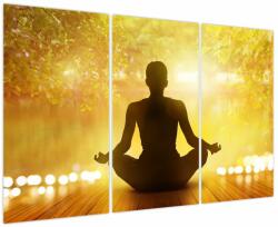 Mivali Tablou - meditare (V021741V120803PCS)