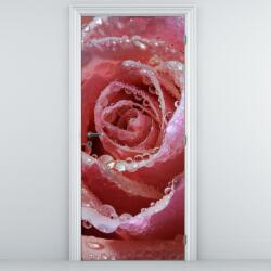Mivali Fototapeta pentru ușă - floare de trandafir (D014840D95205)