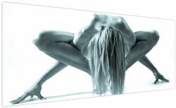 Mivali Tablou - Nud, dintr-o bucată 250x125 cm (V023502V250125)