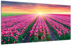 Mivali Tablou pe sticlă cu câmp de lalele cu soare, dintr-o bucată 100x50 cm pe sticlă (V020554V10050GD)