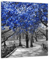 Mivali Tablou - Copaci albaștri Central Park, New York, dintr-o bucată 30x30 cm (V023118V3030)