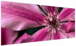 Mivali Tablou cu floarea roz de clematis, dintr-o bucată 250x125 cm (V021607V250125)