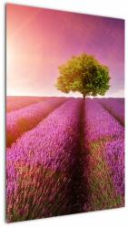 Mivali Tablou câmp cu lavandă, dintr-o bucată 60x90 cm (V021770V6090)