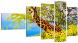Mivali Tablou - Girafa în Africa, din cinci bucăți 110x60 cm (V023370V11060)