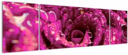 Mivali Tabloul cu floarea trandafirului roz, din trei bucăți 170x50 cm (V020056V17050)