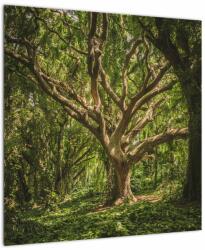 Mivali Tablou cu copaci, dintr-o bucată 50x50 cm (V021216V5050)