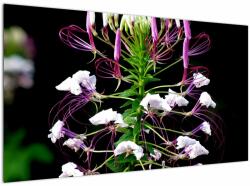 Mivali Tablou cu floare, dintr-o bucată 120x70 cm (V021256V12070)