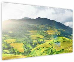 Mivali Tablou plantație, dintr-o bucată 150x100 cm (V020635V150100)