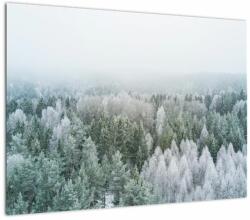 Mivali Tablou pe sticlă - Crestele munțillor înzăpezite, dintr-o bucată 70x50 cm pe sticlă (V022454V7050GD)