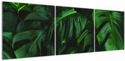 Mivali Tablou cu frunze Monstery, din trei bucăți 150x50 cm (V021591V15050)