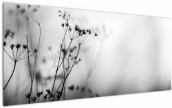 Mivali Tablou - Detailu florior de luncă, dintr-o bucată 120x50 cm (V022197V12050)